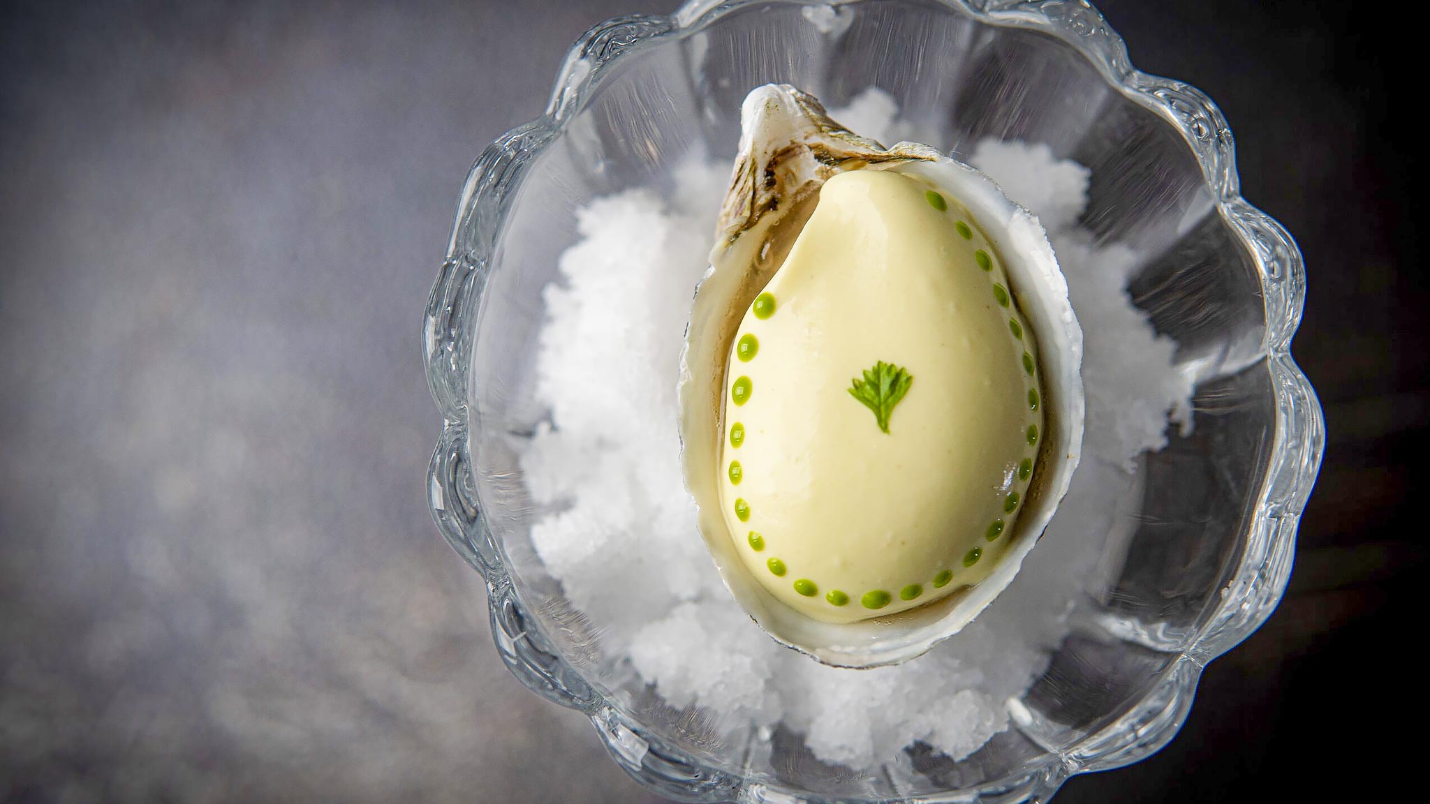 Close up of a prepared oyster on a bed of ice from the Restaurant at the Farmhouse Inn