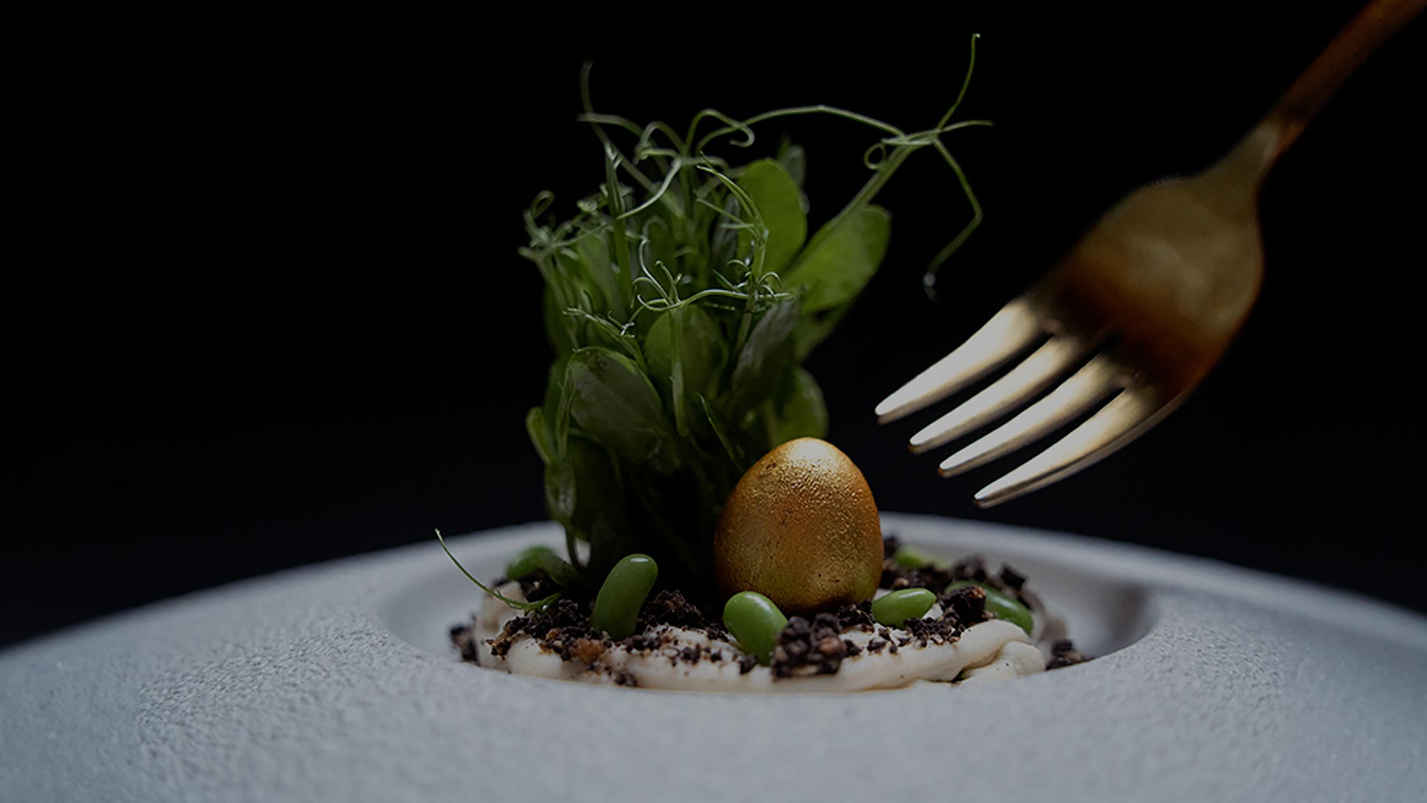 Image of a plate of food at Luce restaurant