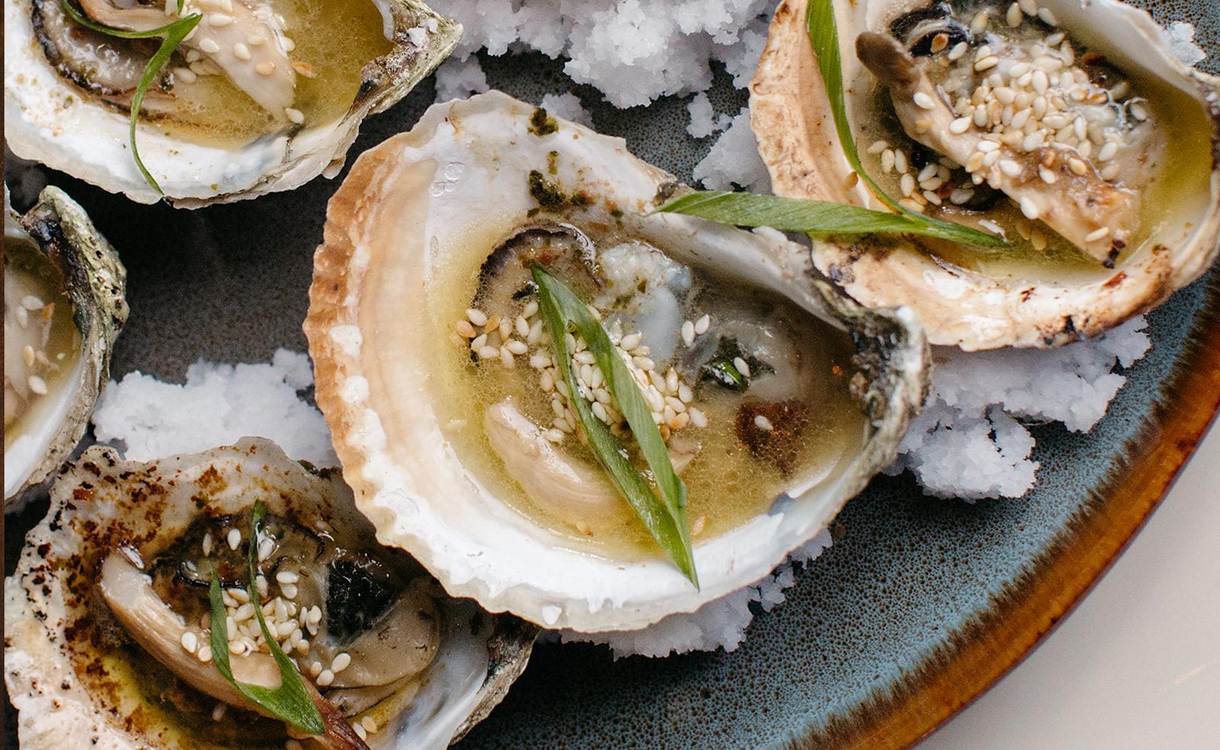 Plate of oysters