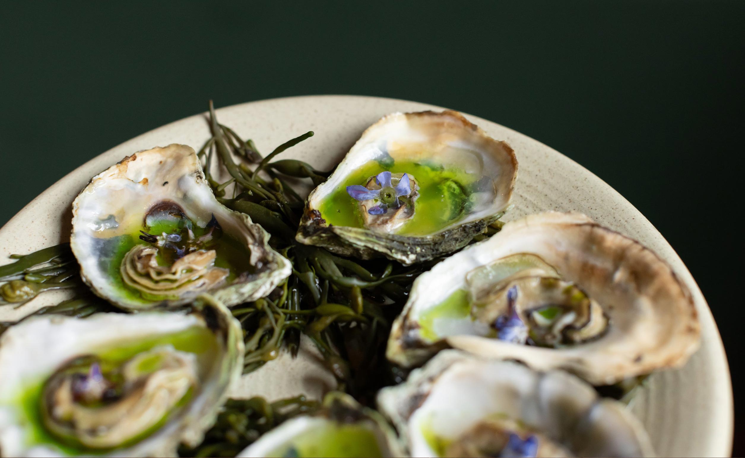 A plate of oysters at the Oyster Club